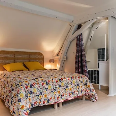 Duplex Avec Patio - Quartier Historique Apartman Moulins